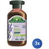 Antica erboristeria 3x Antica Erboristeria Shampoo 250 Ml. Lavanda Normali