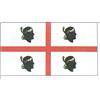 Osculati Bandiera Sardegna 20 x 30 cm - 1 PZ Osculati - 35.443.01 - 3544301