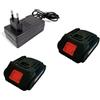 Kit 2 Batteria 24 V Compatibile + Caricabatterie Da Sega Motosega Idropulitrice