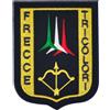 Patch Frecce Tricolori Aeronautica Militare Velcrata