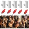 Pollo Acqua Abbeveratoio Gallina Automatico Acqua Drinker&fitting Pollame Utile