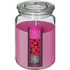 ATMOSPHERA CREATEUR D'INTERIEUR Atmosphera - Candela profumata - Lampone - 510 g