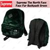 Supreme Zaino Supreme The North Face in pelliccia sintetica verde