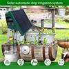 Kit sistema di irrigazione a goccia solare per piante in vaso per interni ed