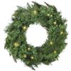 XANLITE KOZII - Ghirlanda natalizia luminosa, multicolore, 25 LED SMD 3000 K, bianco caldo, 8 modalità, 15000 H, IP44, illuminazione esterna, effetto naturale, PVC, Ø 45 x 7 cm