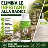 Adama Gliphogan Diserbante Totale 500 ml Erbicida Glifosate Arbusti Erba