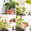 Innovagoods 4 PALLINE DI IRRIGAZIONE AUTOMATICA SISTEMA DI IRRIGAZIONE A GOCCIA