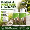 Adama 2 x Adama Gliphogan Diserbante Totale 500 ml Erbicida Glifosate Arbusti Erba