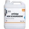 Aquavant Aqua Sphere Fluidra Antialga Non Stop Antialghe Alghicida Concentrato x Piscina