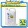 Sigma Soluzione Concentrata Antimuffa Antifunghi Sigma Fungisol Interno Esterno LT 2,5