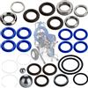 Rosfix Set Riparazione Pompa - Ricambio per Airless Graco 1095-Mark V