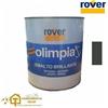 ROVER Smalto Brillante GRIGIO MINIERA Rover Olimpia per Esterno Interno Ferro e Legno