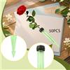50 pezzi di tubi per acqua con fiori a stelo con tappo, fiale per fiori,