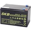 SKB Batteria Piombo 12v 12ah Skb Sk12-12 SKB 38641205