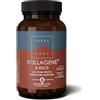 TERRANOVA VOLLAGENE E SILICE 50 CPS