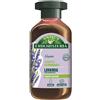 Antica Erboristeria Shampoo Illuminante 250 Ml. Lavanda Capelli Normali