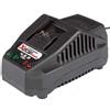 Parkside Caricabatterie »PLG 20 C3« 120 Watt 4.5 A Tempo di carica 30 min X 20 V Team