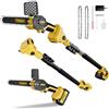 TROOZY 2-In-1 Mini Motosega a Batteria & Potatore Telescopico Elettrica, Brushless, Elettrosega 3000 mAh fino a 100min, Tagliarami per Potatura 21V / 6 Pollici, Seghetto con asta Telescopica