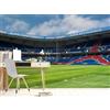 Decorazione artistica Jess Carta da parati 3D Parc des Princes Paris Stadium pittura murale carta da...