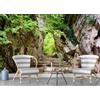 Decorazione artistica Jess Carta da parati 3D Stone Gate Steps albero autoadesiva rimovibile