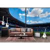 Decorazione artistica Jess Carta da parati 3D Stadium Sky Cloud autoadesiva rimovibile