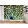 Decorazione artistica Jess Carta da parati 3D coda di pavone spalmata murale rimovibile autoadesiva 270