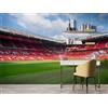 Decorazione artistica Jess Carta da parati 3D Stadium Sky Cloud autoadesiva rimovibile