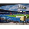 Decorazione artistica Jess Carta da parati 3D Parc des Princes Paris Stadium pittura murale carta da...