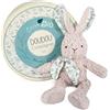 Doudou et Compagnie - Pantin Coniglio - Doudou Bio - Grigio - 25 cm - DOUDOU BOTANIC Bio - DC3969