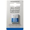 Winsor & Newton Professional - Vernici ad acquerello, vivaci e resistenti alla luce, pigmenti per artisti, 1/2 GODET, colore: Blu Winsor (Tonalità Rossa)