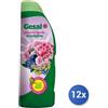 Gesal 12x Bundle Gesal Piante Acidofile Lt 1 Concime