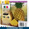 Epson Cartuccia Originale 604 Multipack per Expression Home XP-4200
