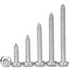 Drenky Viti Autofilettanti Torx M3x20mm Viti Per Legno In 304 Acciaio In
