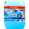 Coccolino Ammorbidente Primavera 10 Litri Tanica Formato Professionale