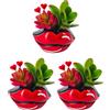 eGarden.store Set Piante Mix San Valentino regalo Tillandsia Succulenta Hoya Kerry vere