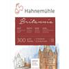 Hahnemühle Hahnemuhle Britannia 300gsm Block - 17 x 24cm Hot Pressed