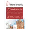 Hahnemühle Cartone Hahnemühle Aquarelle Britannia Grezzo 300 g/m² 17 x 24 cm 12 Blatt