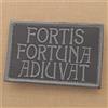 LEGEEON Subdued Fortis Fortuna Adiuvat 2x3.25 John Wick Blackout Morale Tactical M