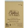 SM.Lt EB 80ts/NTB carta kraft A4 80 fogli 135 GSM colore: marrone