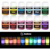 HEMOER Polvere Fluorescente 12 Colori Polvere Luminosa per Pittura Unghie A