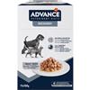 affinity ADVANCE VETERINARY DIETS Advance Veterinary Diets Recovery Cibo Umido per Cani e Gatti: Multipack 11 b