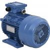 vidaXL Motore Elettrico Trifase in Alluminio 4kW/5,5HP 2 Poli 2840 RPM