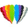 Summer-Ray Feltro summer-ray 50PCS colore misto piuma laser Cut Embellishment Value Pa