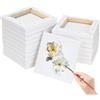 NINGYER 18 Pezzi Mini Tele Tele Piccole 10x10cm Tela Pittura Adatto per Pit
