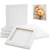 HIKPACKER Confezione da 6 tela bianca per dipingere 10 x 10 cm tela pittura 15x15 cm c