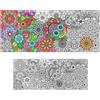 PHOGARY Poster Jumbo Mandala da Colorare con Fiori Giganti Rotolo da Co