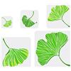 FINGERINSPIRE 5 stencil per pittura ginkgo biloba 10/15/20/25/30 cm r