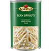 Royal Orient Semi di Soia Germogli 24 Confezioni di 425 g