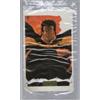HOKUTO NO KEN - KEN IL GUERRIERO sticker - adesivo 6