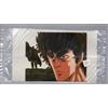 HOKUTO NO KEN - KEN IL GUERRIERO sticker - adesivo 7